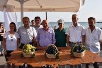 MEHMET SAĞLAM - Tekirdağ'ın En Güzel Üzümleri Seçildi
