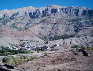 TSK açıkladı 16 asker şehit