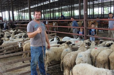 Bayram Hareketliliği Artıyor