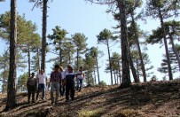 İSMAIL TÜFEKÇI - Isparta Orman Bölge Müdürü, Burdurda İncelemelerde Bulundu