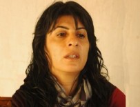 NUSAYBİN BELEDİYE - Öz yönetim ilan eden başkan görevden alındı