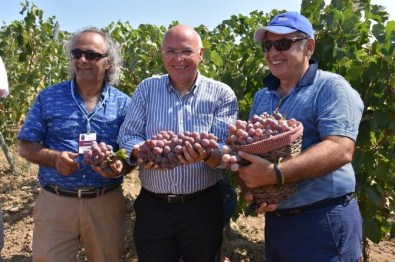 Süleymanpaşa Belediye Başkanı Eşkinat Açıklaması 'Festival Amacına Ulaşmıştır'