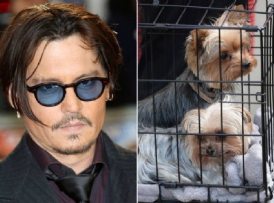 Johnny Depp: Köpeklerimi öldürüp yedim