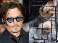 JOHNNY DEPP - Johnny Depp: Köpeklerimi öldürüp yedim