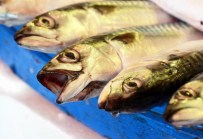 BALIKÇI ESNAFI - Marmara'daki Balık Çeşitliliği Yüzleri Güldürüyor