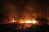 2016 Yılının Orman Yangını Fethiye'de Çıktı