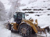 Rize'de Karla Mücadele
