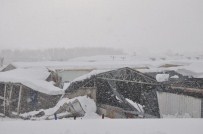 TEKSTİL FABRİKASI - Sinop'ta Yağan Kar Fabrika Çatılarını Çökertti