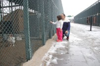 Anadolu Harikalar Diyarı Hayvanat Bahçesini 2015 Yılında 500 Bin Kişi Ziyaret Etti