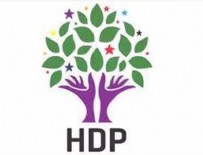 HDP'li eş başkan tutuklandı