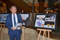 CENGIZ AYHAN - 'Fotoğraflarla Göksun' Sergisi Açıldı