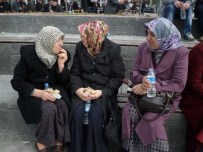 İSMAİL KARAKULLUKÇU - Hamsi Festivali Arifiye Meydanında Gerçekleşti