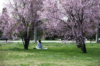 Bursa Dünya Liginde 11 Basamak Yükseldi