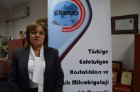 DOMUZ GRIBI VIRÜSÜ - 'Domuz gribi ile ilgili paniğe gerek yok'