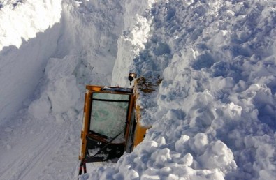 Hayatını Sinyal Lambası Kurtardı