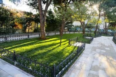 Maltepe Çiçek Açtı