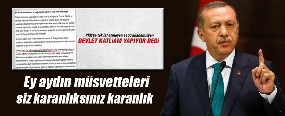 Cumhurbaşkanı Erdoğan'dan akademisyenlere sert sözler