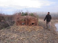 Güme Avcılığına Geçit Verilmedi