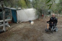 Kesik İki Ayakla Çadırda Yaşam Mücadelesi