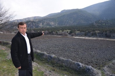 Ormanlık Alanda Erkek Cesedi Bulundu