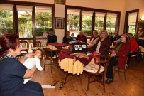 GÜNEŞ ÇARPMASI - Yaşlılara İlk Yardım Eğitimi