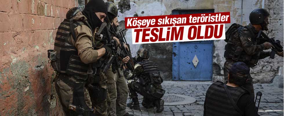 3 PKK'lı silahlarıyla teslim oldu