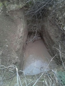 Dağdan İnen Domuzlar Su Dolu Çukura Düştü