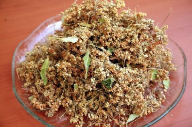 Kağıt Ürünleri Ve Mobilya İhracatı Yüzleri Güldürdü