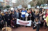 İNSANOĞLU - Zehirlenen Hayvanlar İçin Suç Duyurusunda Bulundular