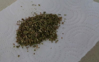 Alaplı'da Uyuşturucu Operasyonu