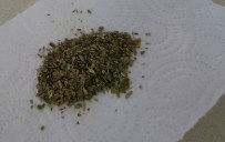 Alaplı'da Uyuşturucu Operasyonu