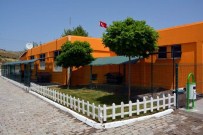 Aliağa'da 400 Sokak Hayvanı Ameliyat Edildi