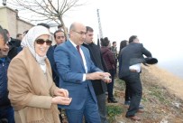 Daha Yeşil Bir Adıyaman İçin Tohum Topları Doğaya Bırakıldı