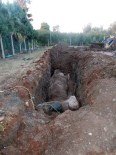 BALINA - Dev Balina Yavrusu Kemiklerinin Sergilenmesi İçin Gömüldü
