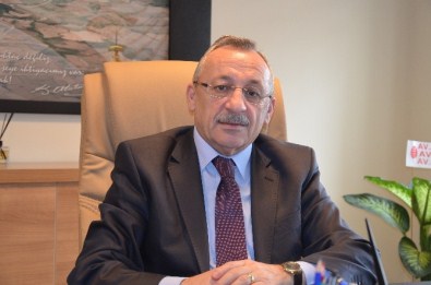 Fatsa'da Tapu İşlemleri