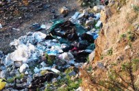 AKYARLAR - Kaçak Göçmenler, Bodrum'u Kullanmayı Bıraktı