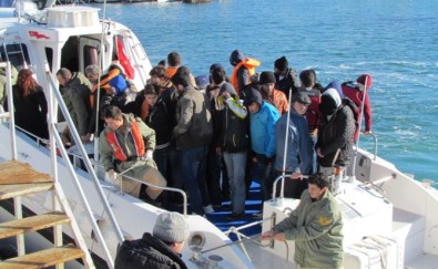 Tam 235 Sığınmacı!