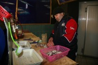 BALIK FİYATLARI - Afyonkarahisar'da Balık Fiyatları