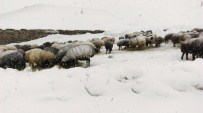 Bingöl'de Kar Ulaşımı Vurdu Haberi