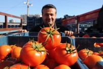 Domates Dalından Tezgaha Dört Kat Pahalıya Ulaşıyor