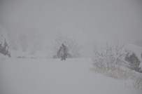 DURANKAYA - Hakkari'de Mahsur Kalan Yolcular Kurtarıldı