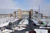 İBRAHIM YALÇıN - Niğde Üniversitesin'den 20 Akademisyen Bin 100 Akademisyene Karşı Başlatılan İmza Kampanyasına Destek Verdi