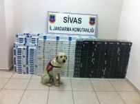 Sivas'ta 15 Bin Paket Kaçak Sigara Ele Geçirildi