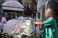 SİYAM İKİZLERİ - Türkmen Siyam İkizleri Hayata Tutunamadı