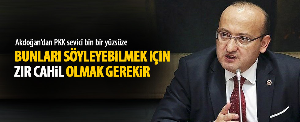 Akdoğan: Bunları söylemek için zır cahil olmak gerekir