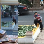 SİGARA İZMARİTİ - Yaya Geçidinde Kitap Okuyan Yaşlı Adam Günün Konusu Oldu