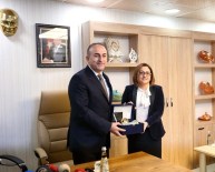 BÜYÜKELÇİLER - Bakan Çavuşoğlu Ve Büyükelçiler'den Şahin'e Ziyaret