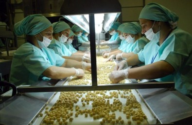 Düzce'de Geçen Yıl 27 Bin 775 Ton İç Fındık, 10 Bin 976 Ton Tavuk Ayağı İhraç Edildi