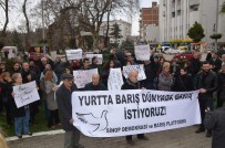 SULTANAHMET - Sinop Demokrasi Ve Barış Platformu'ndan Basın Açıklaması