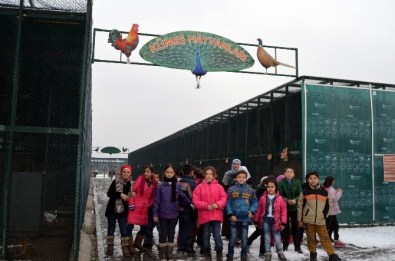 Suriyeli Çocuklar Hayvanat Bahçesi'ni Gezdi